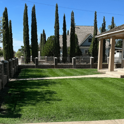 LAWN CARE